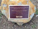 Hovell Tree Inscription : December 2013