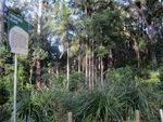 Howard's Place : 19-06-2013