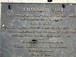 Ingham School Centenary Plaque