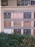 International Wall of Friendship : 19-January-2013