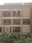 International Wall of Friendship : 19-January-2013