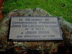 Gillis & Ross Memorial Plaque : 10-04-2013