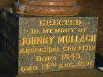 Johnny Mullagh