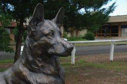 K-9 3 : 01-March-2015
