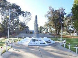 25-April-2020 (Tim Fitzgerald)