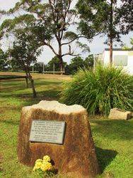 Memorial Grove 3 : 19-May-2015