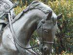 King George V