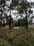 Korean Avenue of Honour 2 : October 2013