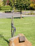 Volunteers Tree : 25-04-2014