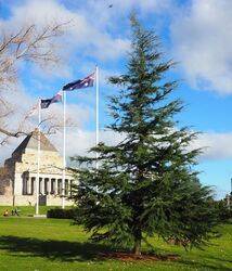 30-June-2019 (Jim Claven)