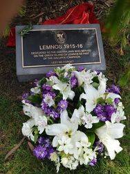 31-October-2019 (Deb Stewart)