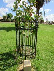 09-March-2020 [Sandra Brown] 