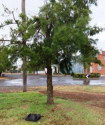 07-February-2020 (John Huth)