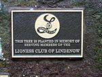 Lioness Club : 18-August-2011