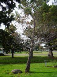 17-March-2022 (Chris McLaughlin)