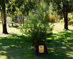 09-July-2021 (Henry Moulds)