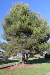 26-May-2023 (John Huth)