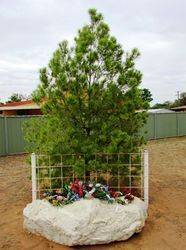 02-May-2019 (Sandra Brown)