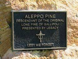 19-August-2019 (Sandra Brown)