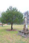 Lone Pine Memorial : 13-October-2012