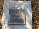 Gallipoli Pine Plaque : 28-05-2014