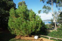 23-May-2015 (Peter Williams)