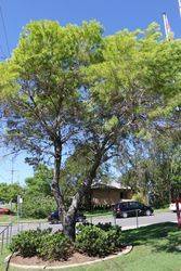 31-March-2019 (John Huth)