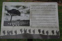 Lone Pine Plaque: 17-August-2015