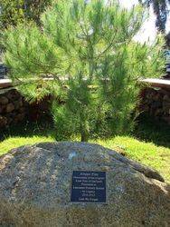 Lone Pine 2 : 07-August-2015