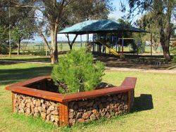 Lone Pine+ Wall :07-August-2015