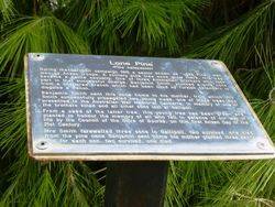 Plaque: 15-March-2016