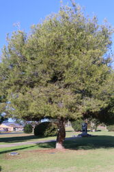 26-May-2023 (John Huth)