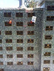 Plaques 6 : 28-March-2016