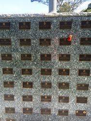 Plaques 7 : 28-March-2016