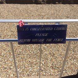 Plaque 2 : 19-February-2016