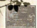Mareeba Air Crash Inscription