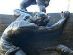 Matthew Flinders