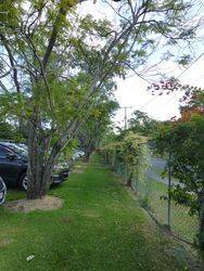 Avenue 3 : 27-May-2015