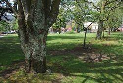 17-October-2016 [Peter Williams]