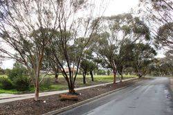 08-August-2016 (Roger Johnson)