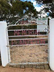 03-September-2020 (Stephen Warren)