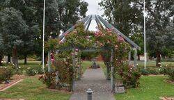 16-December-2020 (Henry Moulds)