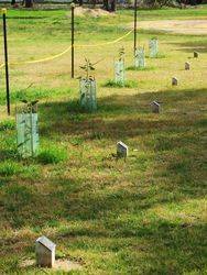 Avenue of Honour 2 : 07-August-2015