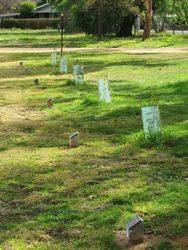 Avenue of Honour 3 :07-August-215