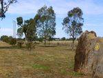 Millenium Plantation : 15-August-2014