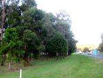 Moore Native Tree Plantation 2 : 24-04-2009
