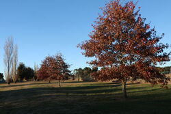 22-May-2023 (John Huth)