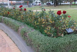 03-June-2023 (John Huth)