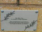 Olive Tree Inscription