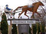 Paleface Adios : 05-August-2014
